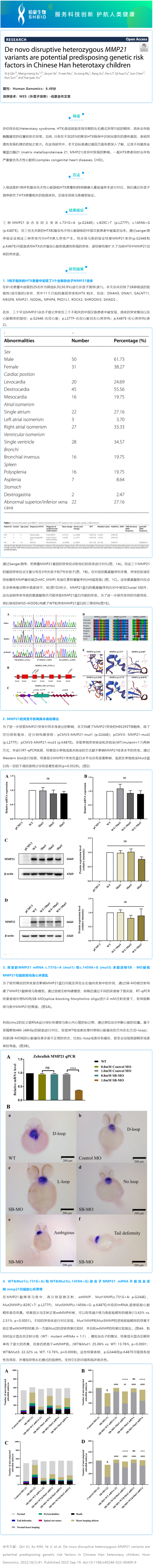 2023-02-14 項(xiàng)目文章 |MMP21 基因雜合子變異與中國漢族兒童可遺傳內(nèi)臟異位綜合征相關(guān)