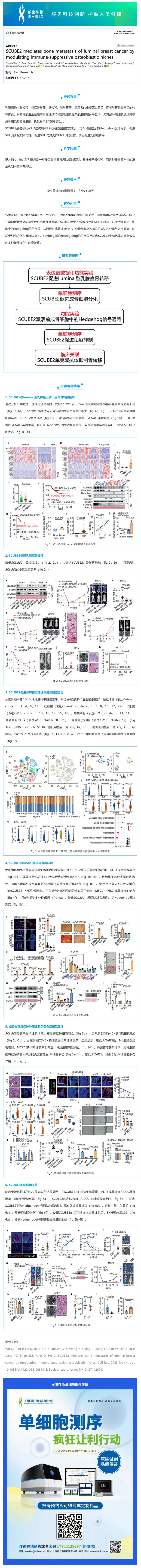 單細胞項目文章 _ SCUBE2 調控免疫抑制的成骨細胞微環(huán)境介導 luminal 型乳腺癌的骨轉移