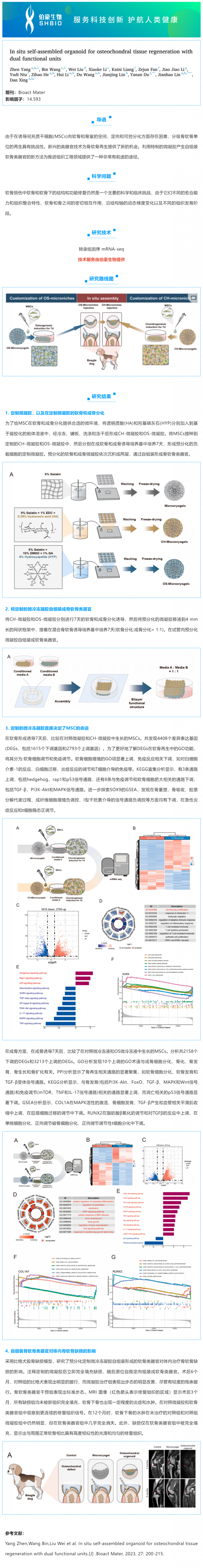 mRNA-seq 項(xiàng)目文章 | 原位自組裝類(lèi)器官用于軟骨組織再生