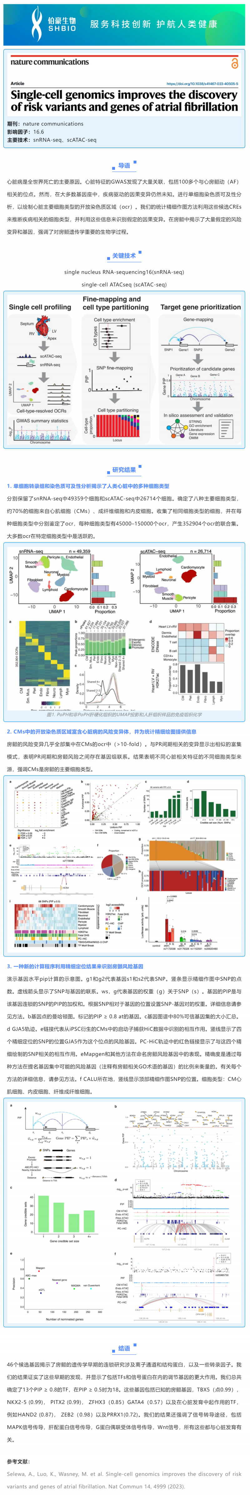 文獻解讀 _ 單細胞基因組學有助于發(fā)現房顫的風險變異和基因