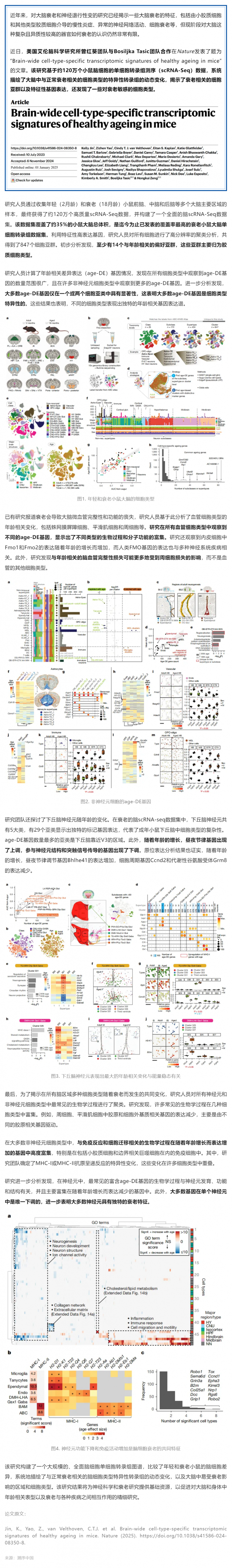 Nature _ 迄今覆蓋率最高的衰老小鼠大腦單細胞轉錄組圖譜，系統解析衰老相關細胞類型及特異性轉錄